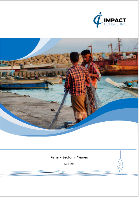 Fishing Industry in Yemen - IMPACT Consulting