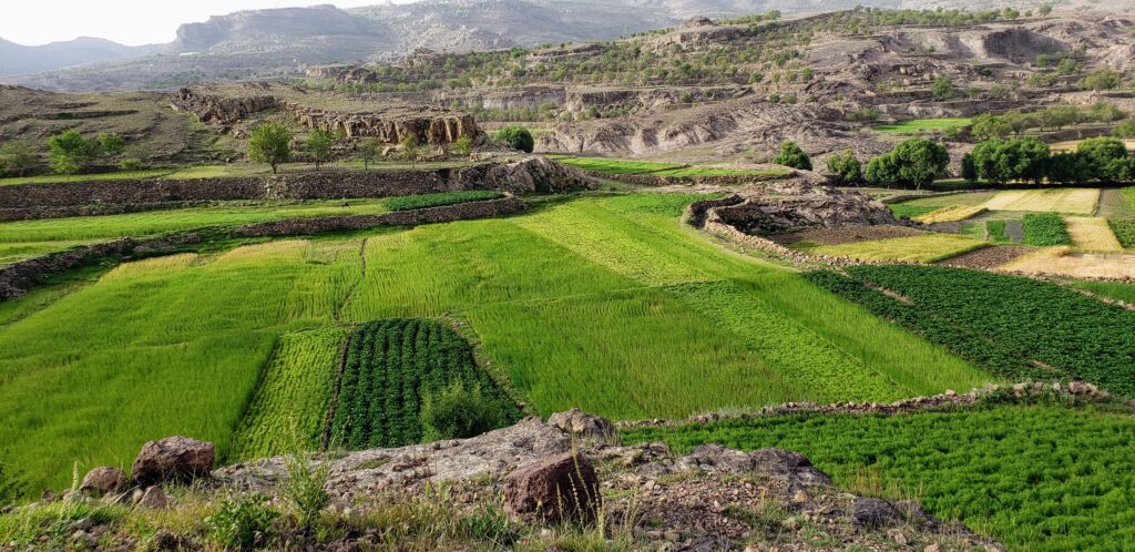 Yemen Green Mountains - Sanaa suburbs